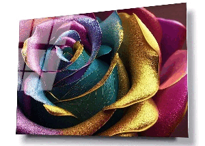 Rose color