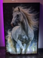 White horse - Image 2